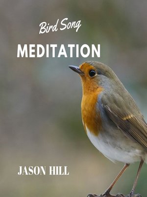cover image of Bird Song Meditation